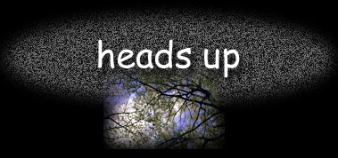 heads up in the woods